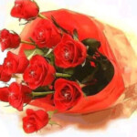 Profile picture of Admin